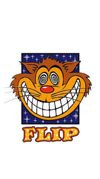 Flip Skateboards, flipskateboards, skateboarding, skating, skateboardcompany HD phone wallpaper