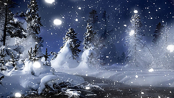 Winter Snow - , High Definition, High Quality HD wallpaper