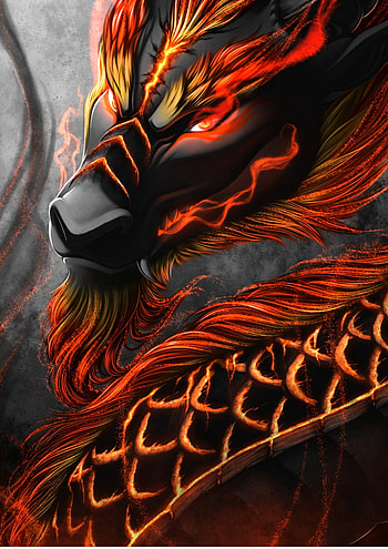 Red Dragon HD phone wallpaper