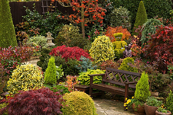 Autumn Bench, japanese, autumn, bench, home garden HD wallpaper