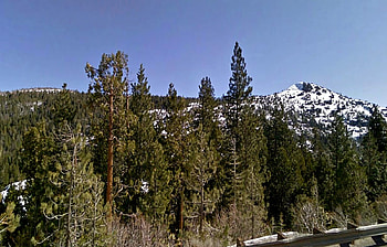 California, winter, snow, scenic, trees, sky HD wallpaper