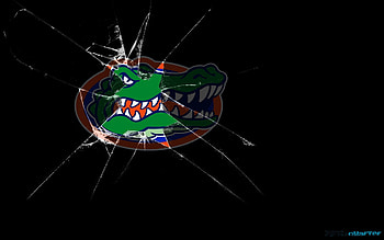 FLORIDA GATORS college football HD wallpaper