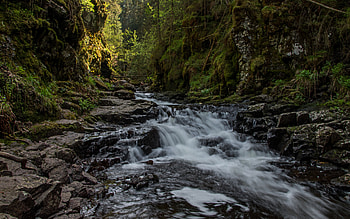 Asdola river, mountain river, Drammen, forest, river, stones, Norway HD wallpaper