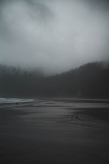 Nature, Rivers, Trees, Fog, Gloomy HD phone wallpaper
