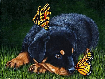 Rotty and wings, pup, black, tan, monarchs grass, rottweiler HD wallpaper