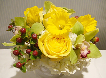 Flowers, Rose Flower, Rose, Registration, Typography, Bouquet, Composition, Orchid HD wallpaper