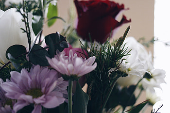 Flowers, Bouquet, Composition HD wallpaper