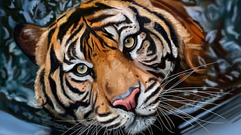 Tiger, animal, face, orange, art HD wallpaper