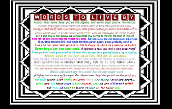 Words To Live By, wisdom, colorful, humor, advice HD wallpaper