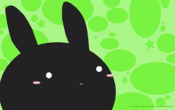 Rabbits HD wallpaper