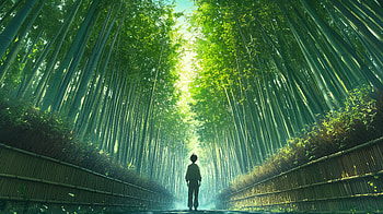 Serene Bamboo Path: A Anime Forest Experience, Anime, anime forest, bamboo, bamboo forest, nature HD wallpaper