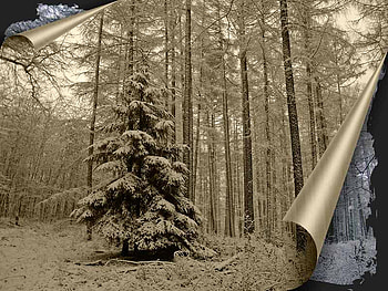 I'M DREAMING OF A WHITE CHRISTMAS, white christmas, graphy, bw, nature, winter magic, forest, tree HD wallpaper