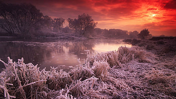 Frosty Sunset in late autumn, England, river, frozen, colors, trees, landscape, grass, sky HD wallpaper