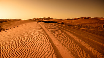 Desert, Africa, Dune, Sand HD wallpaper