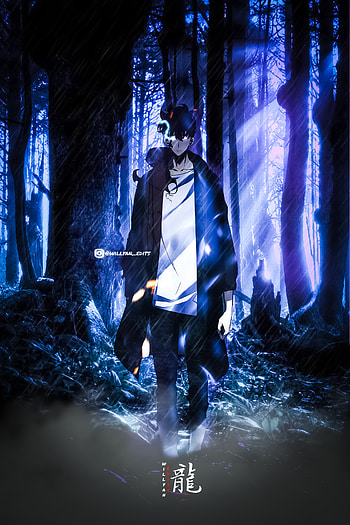 Sung jin-woo, naruto, tokyo revengers, flash graphy, midnight, roud 6, solo leveling, anime HD phone wallpaper