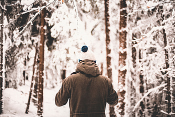 Winter, Miscellanea, Miscellaneous, Forest, Human, Person, Jacket HD wallpaper