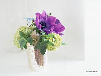 Flower art, still life, nature, pretty, flower HD wallpaper