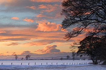 Winter, snow, landscape, sky, sunrise HD wallpaper