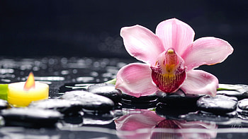 Spa Orchid and Flame, flame, relax, rocks, Firefox Persona theme, rest, candle, spa, orchid, water HD wallpaper