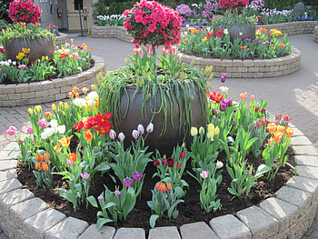 Scents of Spring 19, graphy, Red, garden, orange, stones, pink, Tulips, green, yellow, Flowers HD wallpaper