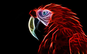 parrot silhouette, red macaw, fractals, Scarlet macaw, red macaw silhouette, drawings of parrots HD wallpaper