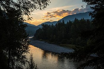 Nature, Rivers, Branches, Spruce, Fir, Hills HD wallpaper