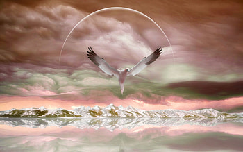 On The Wing, wings, abstract, scape, water HD wallpaper