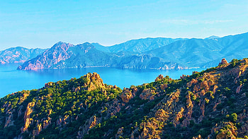 Corsica, the Isle of Beauty, island, coast, trees, mediterranean, rocks, france HD wallpaper