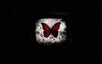 Butterflies, Insects, Background HD wallpaper