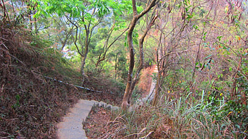 Mountain climbing, trail, tree, Mountain HD wallpaper