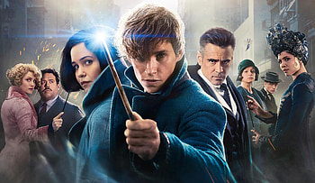 Tina Goldstein, Newt Scamander, Fantastic Beasts, Character backgrounds HD wallpaper