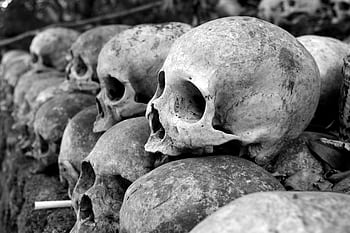 Row of weathered skulls in a Bali cemetery conveys mystery and decay. HD wallpaper