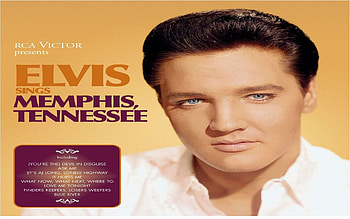 Elvis Presley, Music, Rock & Roll, The King HD wallpaper
