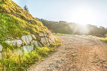 Serene landscape of a sunlit dirt road curving through lush green hills at sunrise. HD wallpaper