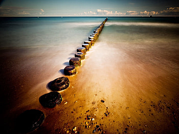 Nature, Water, Stones, Sand, Shore, Bank, Stumps HD wallpaper