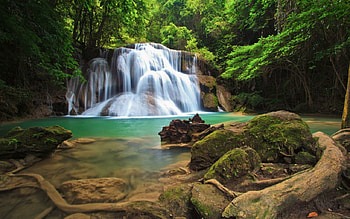Hidden waterfalls, waterfalls, nature, plants, rocks HD wallpaper