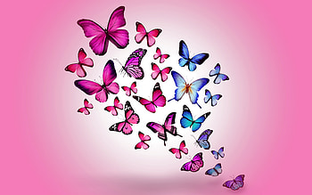 Butterfly Art 2, butterfly, artist, digital-art HD wallpaper