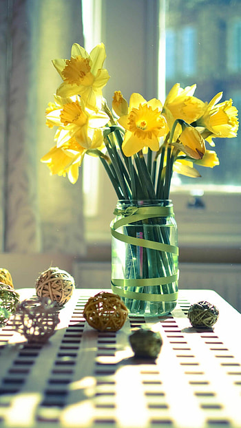 Bouquet, Daffodils HD phone wallpaper