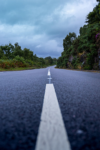 Nature, Trees, Bush, Road, Markup, Dahl, Distance HD phone wallpaper