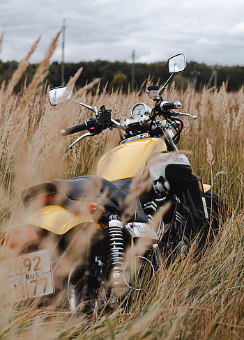 Motorcycles, Yamaha, Back View, Rear View, Ears, Motorcycle, Bike, Spikes HD phone wallpaper