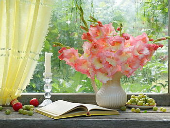 still life, beautiful, flowers, fff HD wallpaper