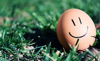 Grass, Macro, Miscellanea, Miscellaneous, Smile, Mood, Egg, Weed HD wallpaper