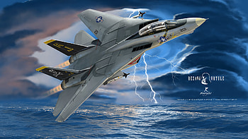 F-14 HD wallpaper