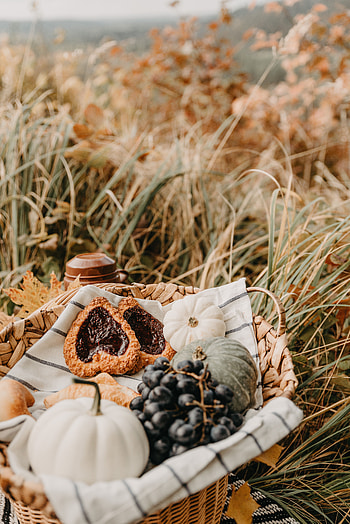 Food, Grass, Grapes, Cookies, Pumpkin, Relaxation, Rest, Basket, Picnic HD phone wallpaper