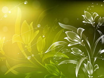 Abstract, Flowers, Light, Bright, Lines, Light Coloured HD wallpaper