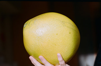 Bright Pomelo fruit, Healthy snack, stock , Delicious and nutritious HD wallpaper
