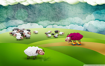 Funny Sheeps, purple, colorful, white, animation, funny, sheeps HD wallpaper