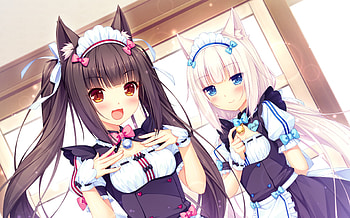 Nekopara, Chocola (Nekopara), Anime, Vanilla (Nekopara) HD wallpaper