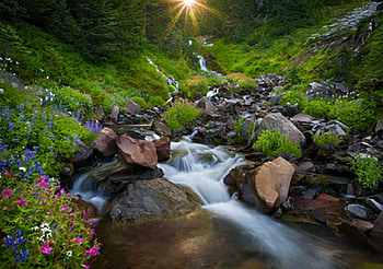 green nature, graphy, green, nature, mountains, sun HD wallpaper