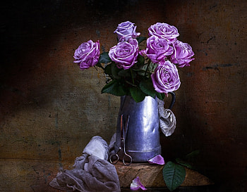 * Purple roses *, life, flower, nature, flowers, still HD wallpaper